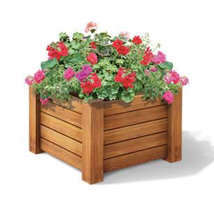 花箱
