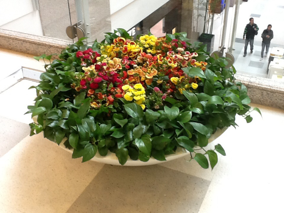花坛