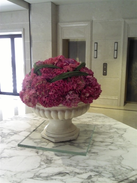 花坛