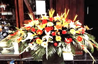 会议花
