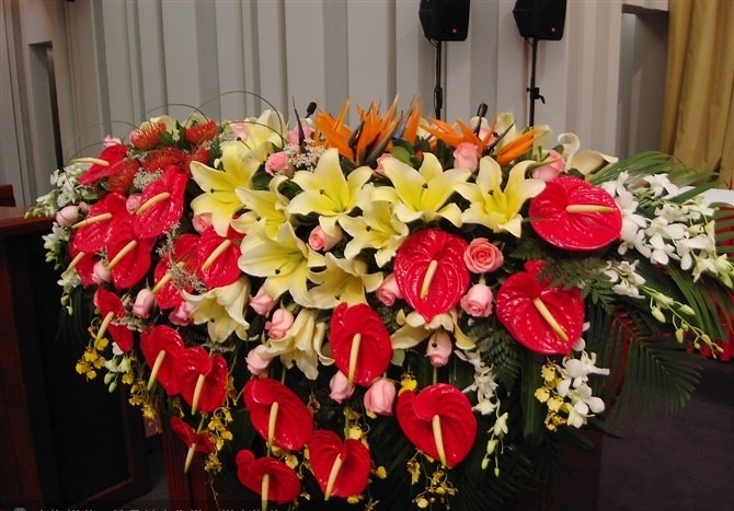 会场HC05