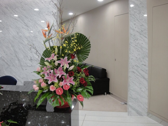 前台花QTH05