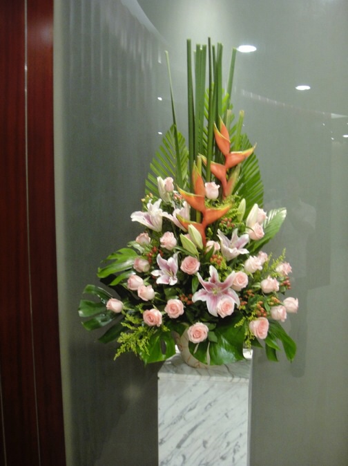 前台花QTH01