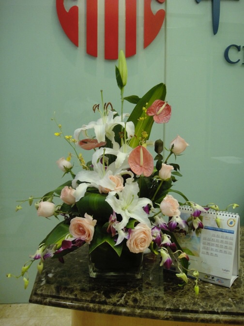前台花QTH03